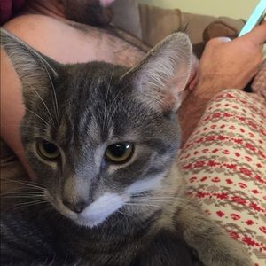 Meet your Posher, Marci